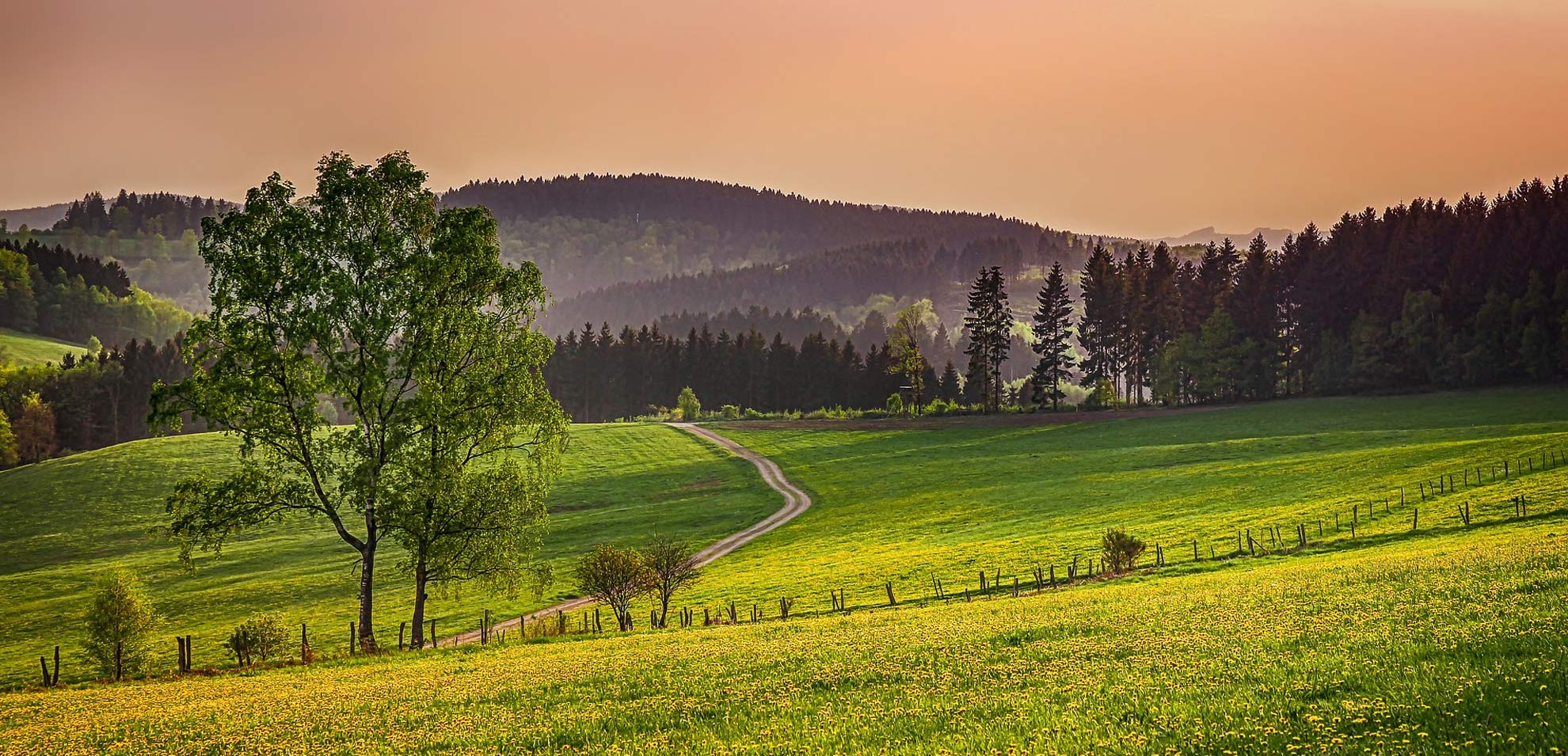 Landschaft mit Weiden und Hügeln im Sauerland