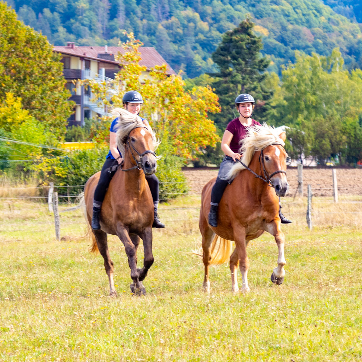 Reiterferien im Sauerland - Reiterinnen reiten auf zwei Pferden