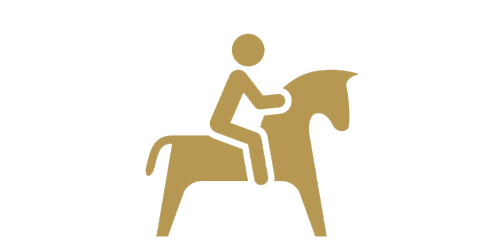 Reiter auf Pferd Symbol in Gold